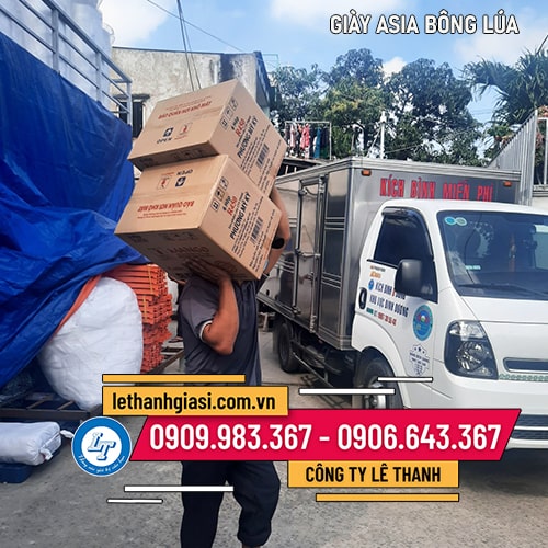 Mua giày lười Asia bông lúa không dây Mua giày lười Asia bông lúa không dây