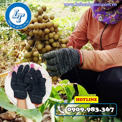 mua găng tay len xám đen bao đổi trả hàng trong ngày tại Lê Thanh mua găng tay len xám đen bao đổi trả hàng trong ngày tại Lê Thanh