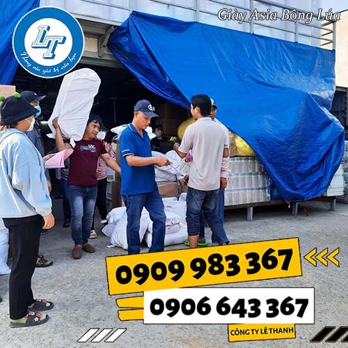 giày asia bông lúa giá rẻ bán chạy giày asia bông lúa giá rẻ bán chạy