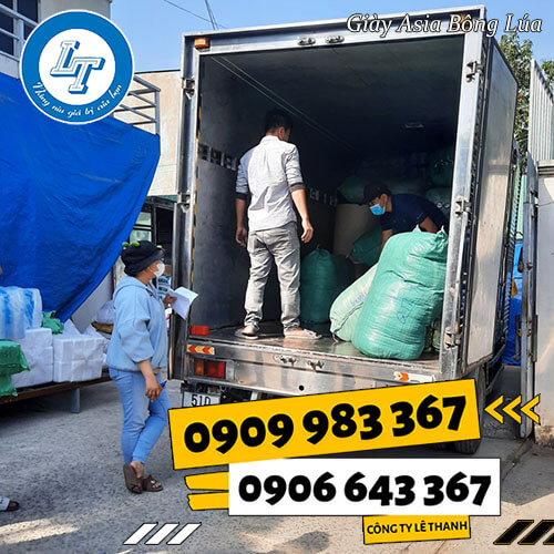 giày asia bông lúa giá rẻ bán chạy giày asia bông lúa giá rẻ bán chạy