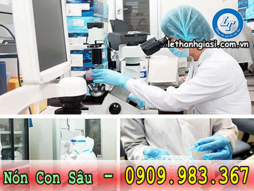 bỏ sỉ nón con sâu tứ sợi thun chất lượng cao con sâu