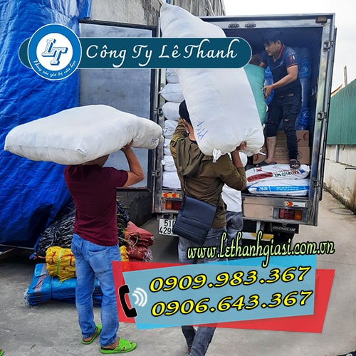 mua dép tổ ong bít mũi giá sỉ nhiều màu ở đâu mua dép tổ ong bít mũi giá sỉ nhiều màu ở đâu