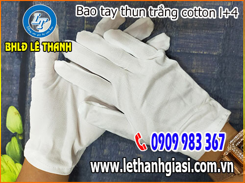 Găng tay vải thun cotton trắng L+4 Găng tay vải thun cotton trắng L+4