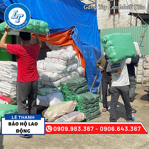 lấy đơn sỉ găng tay muối tiêu giá rẻ lấy đơn sỉ găng tay muối tiêu giá rẻ