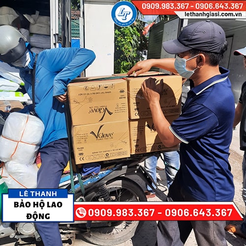 Găng tay không bột Vglove vàng nhạt giá rẻ Găng tay không bột Vglove vàng nhạt giá rẻ