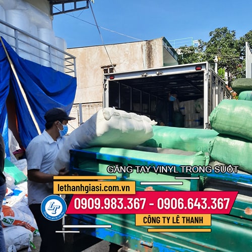 bỏ sỉ găng tay y tế Vinyl không bột bỏ sỉ găng tay y tế Vinyl không bột