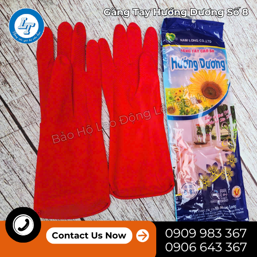 kho lớn găng tay Hướng Dương số 8 giá sỉ rẻ 4 kho lớn găng tay Hướng Dương số 8 giá sỉ rẻ 4
