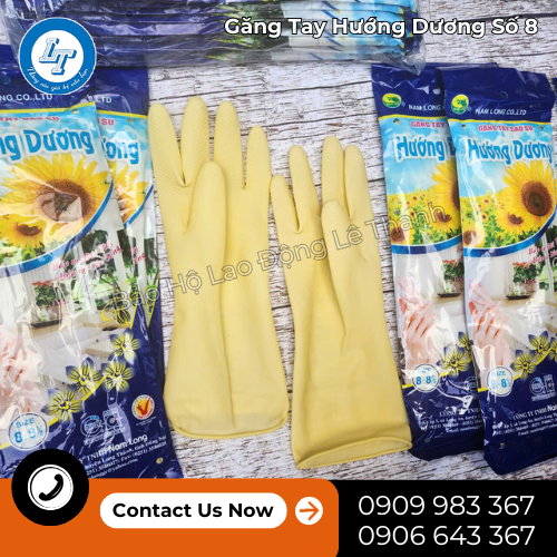 kho lớn găng tay Hướng Dương số 8 giá sỉ rẻ 2 kho lớn găng tay Hướng Dương số 8 giá sỉ rẻ 2