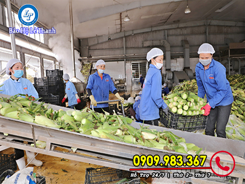 nón lưới công nhân - đường may tinh tế tại lê thanh nón công nhân