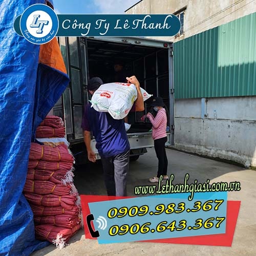 phân phối rẻ giày ASIA quai xé giá sỉ phân phối rẻ giày ASIA quai xé giá sỉ