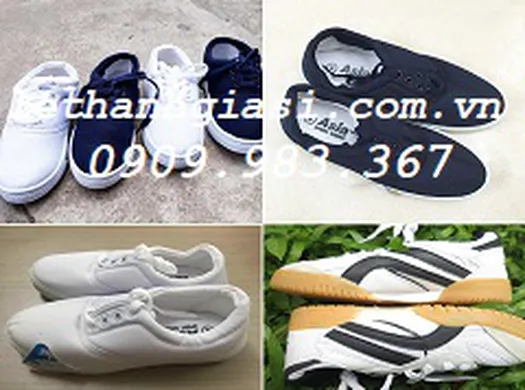 TỔNG ĐẠI LÝ GIÀY BẢO HỘ ASIA  PHÍA BẮC - NGUỒN HÀNG GIÁ SỈ