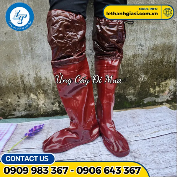 ỦNG ĐI RUỘNG - ĐI CẤY