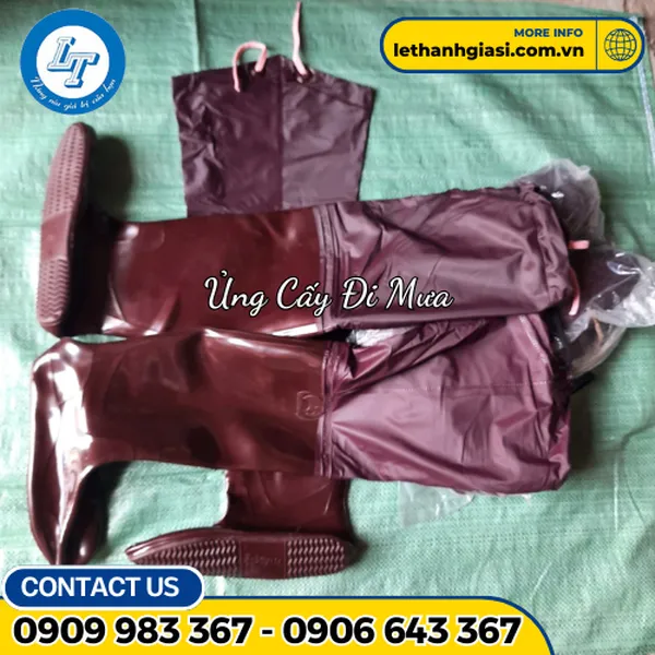 ỦNG ĐI RUỘNG - ĐI CẤY