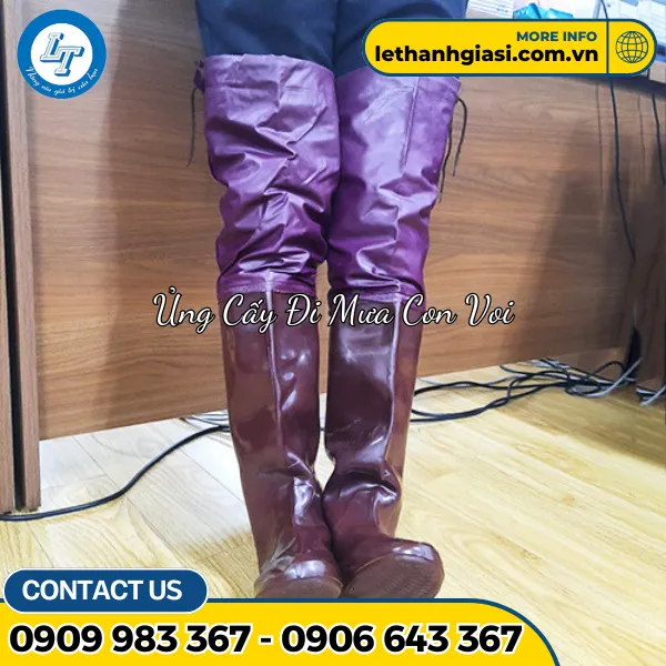 ỦNG ĐI RUỘNG - ĐI CẤY