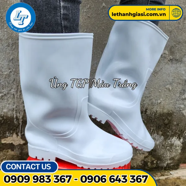 ỦNG CAO SU MÀU TRẮNG TỨ GIA PHÁT