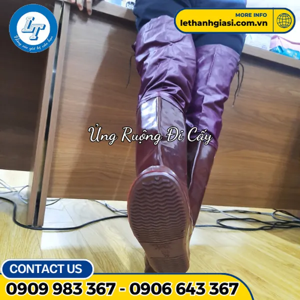 ỦNG ĐI RUỘNG - ĐI CẤY