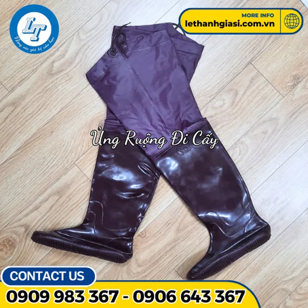 ỦNG ĐI RUỘNG - ĐI CẤY