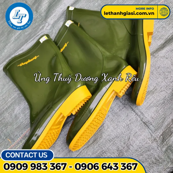 ỦNG THÙY DƯƠNG XANH RÊU 