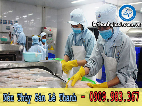 cung cấp giá sỉ các loại nón - mũ ngành thủy sản nón thủy sản