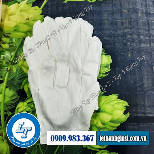 top 5 loại găng tay vải thun phổ biến top 5 loại găng tay vải thun phổ biến