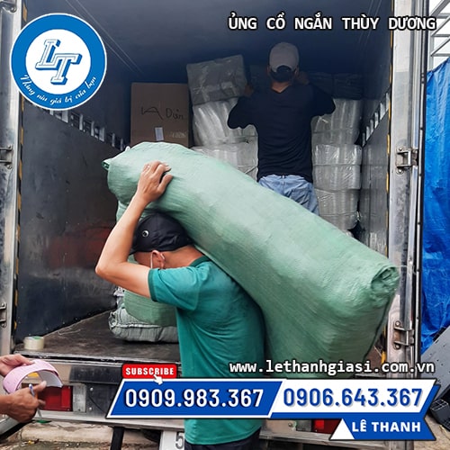 bán ủng cao su cổ ngắn sỉ giá rẻ bán ủng cao su cổ ngắn sỉ giá rẻ