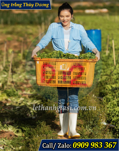 Phân phối ủng màu trắng thùy dương giá rẻ Ứng dụng thùy dương màu trắng