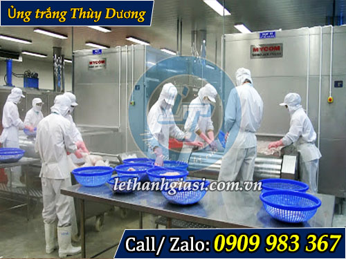 Phân phối ủng màu trắng thùy dương giá rẻ Ứng dụng thùy dương màu trắng trong thủy sản