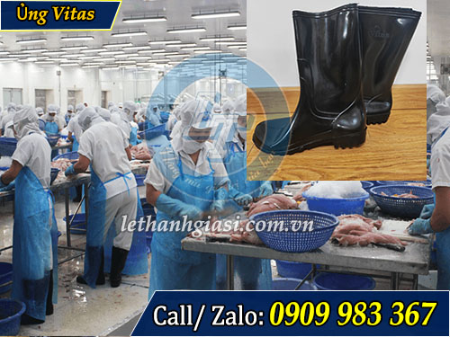 Nhà cung cấp ủng vitas giá rẻ BHLĐ Lê Thanh Ủng Vitas màu đen trong chế biến thực phẩm