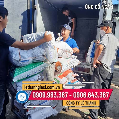 Nơi bán ủng cổ ngắn giá sỉ đi mưa đi ruộng Nơi bán ủng cổ ngắn giá sỉ đi mưa đi ruộng