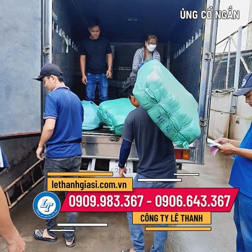 Nơi bán ủng cổ ngắn giá sỉ đi mưa đi ruộng Nơi bán ủng cổ ngắn giá sỉ đi mưa đi ruộng