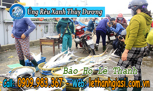 ủng nhựa rêu xanh thùy dương cho nhà phân phối ủng thùy dương