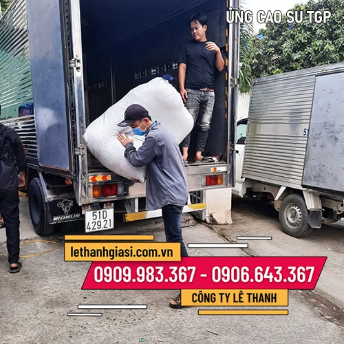 Cơ sở bán ỦNG NHỰA TGP đi mưa giá rẻ Cơ sở bán ỦNG NHỰA TGP đi mưa giá rẻ