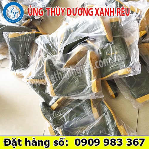 Ủng thùy dương giá rẻ