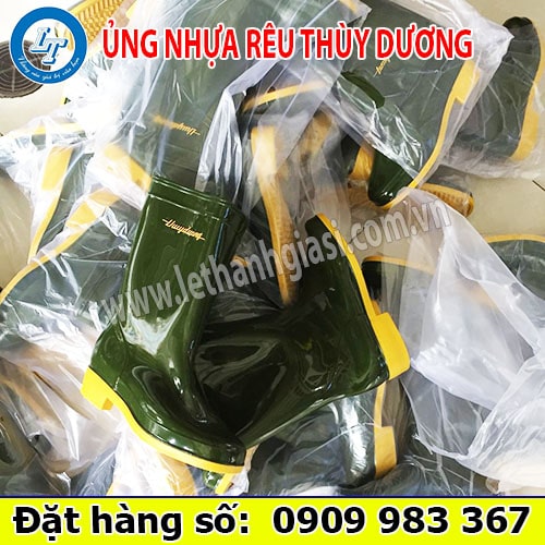 Ủng thùy dương Ủng thùy dương
