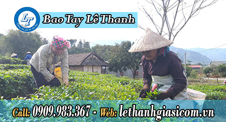 Bao tay xỏ 5 ngón xám đen dùng trong công nghiệp bao tay xám đen