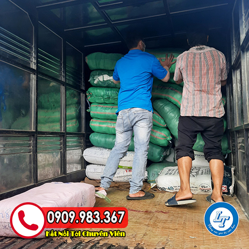 cung cấp bao tay xốp an toàn với thực phẩm gt nilon