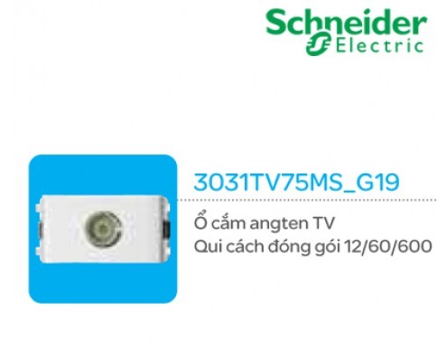 Ổ cắm angten TV Schneider Concept 3031TV75MS_G19 Ổ cắm angten TV Schneider Concept 3031TV75MS_G19