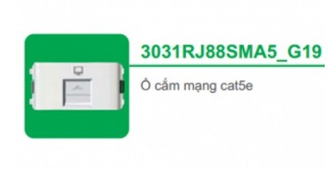 Ổ cắm mạng cat5e Schneider Concept 3031RJ88SMA5_G19 Ổ cắm mạng cat5e Schneider Concept 3031RJ88SMA5_G19