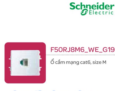 Ổ cắm mạng cat6 size M Schneider S - Flexi F50RJ8M6_WE_G19 Ổ cắm mạng cat6 size M Schneider S - Flexi F50RJ8M6_WE_G19