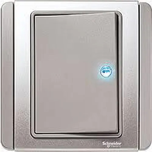 10A 1 Gang 1W switch w. LED Schneider Neo Series Grey Silver Color E3031H1_EBGS_G19