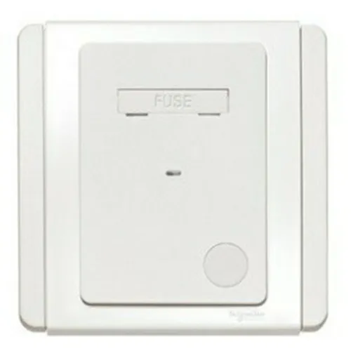13A fused connection unit w.DP switch Schneider Neo Series White color E3031DGSG_WW_G19