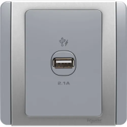 1G USB Charger 21A Schneider Neo Series Grey Silver Color E3031USB_GS_G19