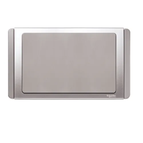 2G Blank Plate Schneider Neo Series Grey Silver Color ET3030X_GS_G19