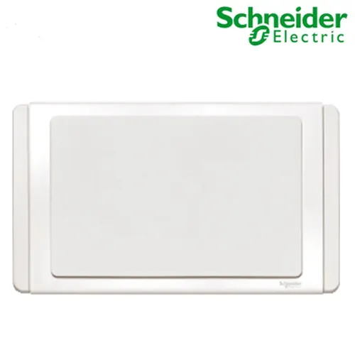 2G Blank Plate Schneider Neo Series White color ET3030X_WW_G19