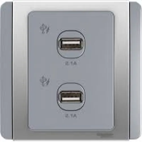 2G USB Charger 21A Schneider Neo Series Grey Silver Color E3032USB_GS_G19