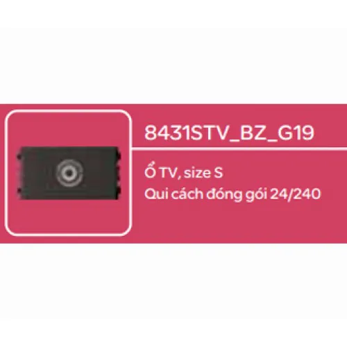 Ổ TV  size S Schneider Zencelo- A Đồng 8431STV_BZ_G19