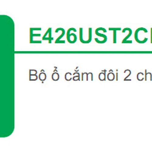 Bộ ổ cắm đôi 2 chấu 16A Schneider S-Classic E426UST2CB_G19