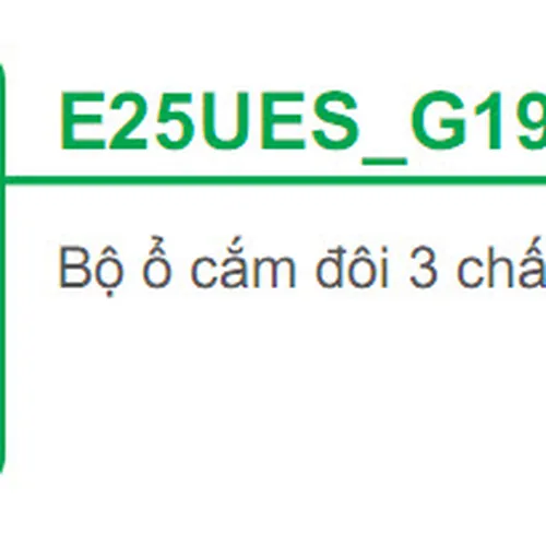 Bộ ổ cắm đôi 3 chấu 16A có công tắc Schneider S-Classic E25UES_G19