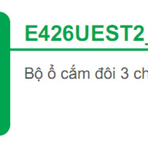 Bộ ổ cắm đôi 3 chấu 16A Schneider S-Classic E426UEST2_T_G19
