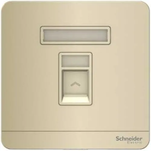 Bộ ổ cắm mạng cat6 đơn màu vàng ánh kim Schneider AvatarOn E8331RJS6_WG
